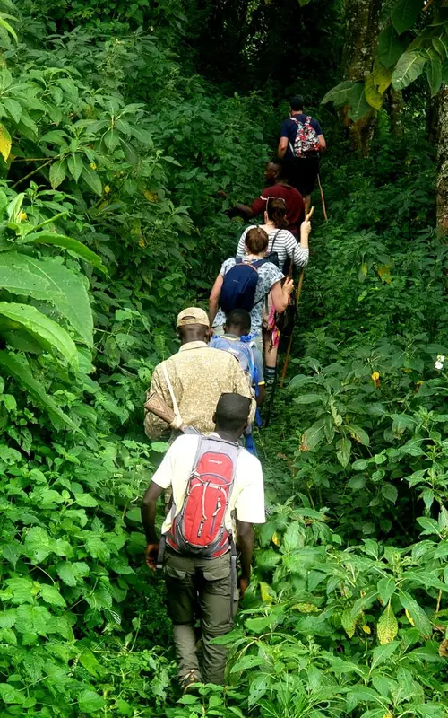 Mount Elgon Day hike Forest Exploration