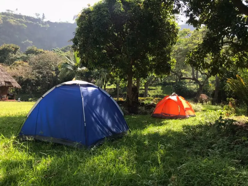 camping for nature enthusiasts
