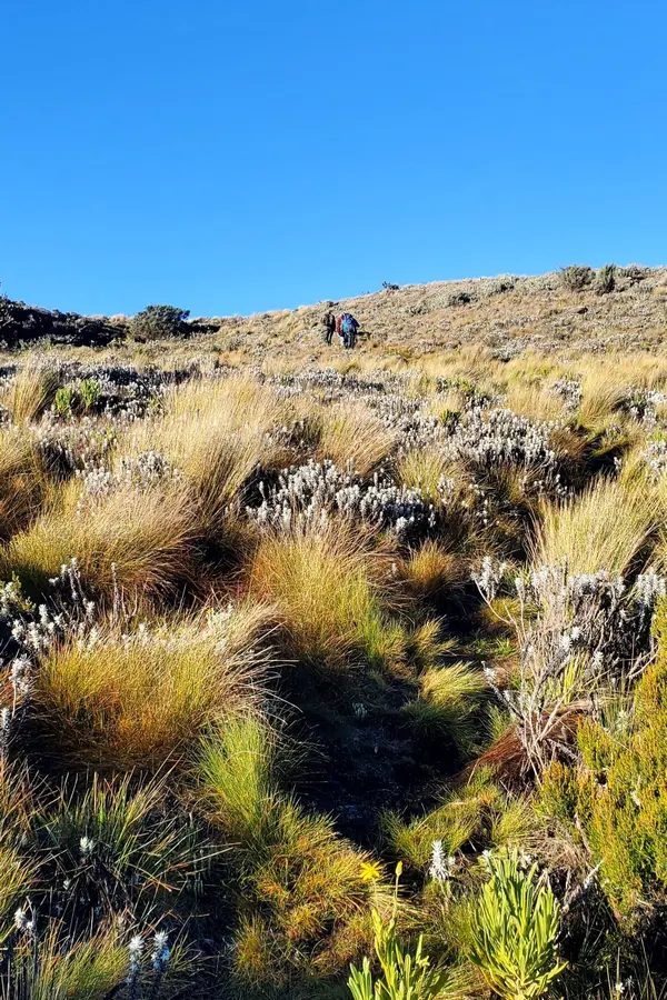 Mt Elgon hike