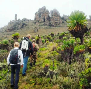 Mount Elgon trekking trails