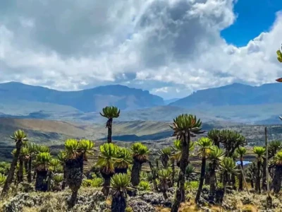 Mount Elgon